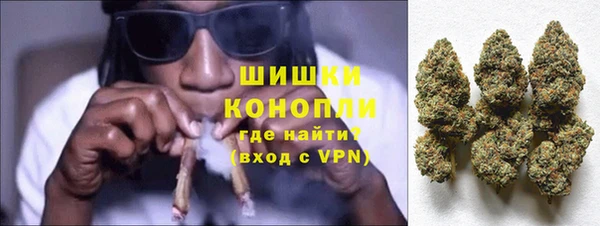 сатива Беломорск