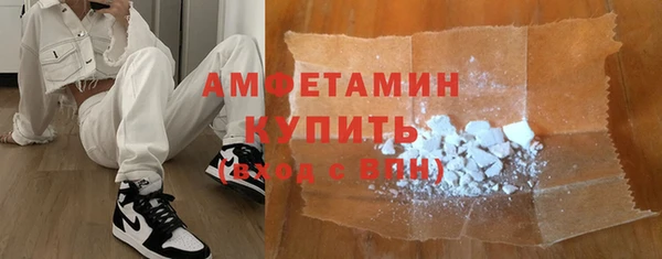 сатива Беломорск