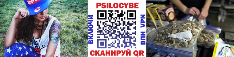 Купить где  Курчатов  Псилоцибиновые грибы Psilocybe 