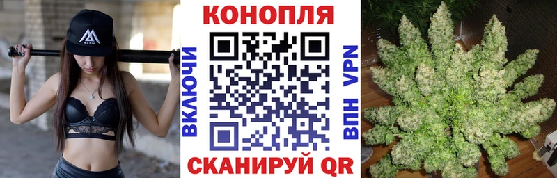 Купить где  Курчатов  Бошки Шишки MAZAR 